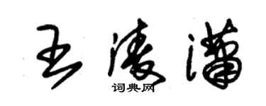 朱錫榮王凌瀟草書個性簽名怎么寫