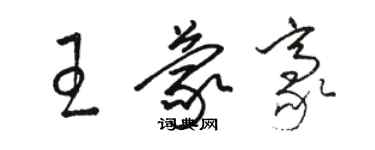 駱恆光王蒙豪草書個性簽名怎么寫