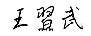 王正良王習武行書個性簽名怎么寫