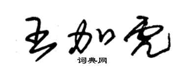 朱錫榮王加虎草書個性簽名怎么寫