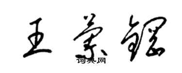 梁錦英王蘭鋼草書個性簽名怎么寫