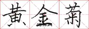 駱恆光黃金菊楷書怎么寫