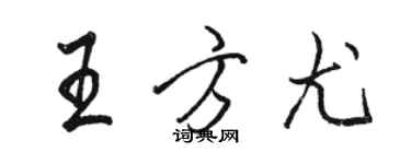 駱恆光王方尤行書個性簽名怎么寫