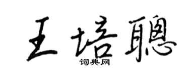 王正良王培聰行書個性簽名怎么寫