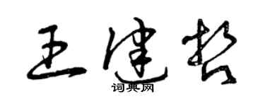曾慶福王健哲草書個性簽名怎么寫