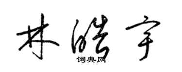 梁錦英林皓宇草書個性簽名怎么寫