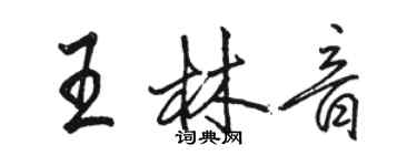 駱恆光王林音行書個性簽名怎么寫