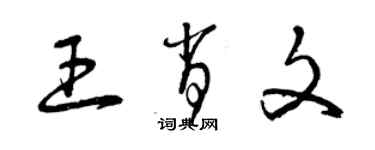 曾慶福王肖文草書個性簽名怎么寫