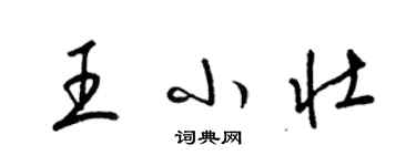 梁錦英王小壯草書個性簽名怎么寫