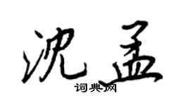 王正良沈孟行書個性簽名怎么寫