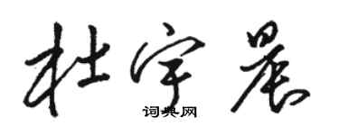 駱恆光杜宇晨草書個性簽名怎么寫