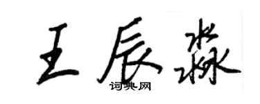 王正良王辰淼行書個性簽名怎么寫