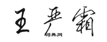 駱恆光王嚴霜行書個性簽名怎么寫