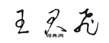 駱恆光王君飛草書個性簽名怎么寫