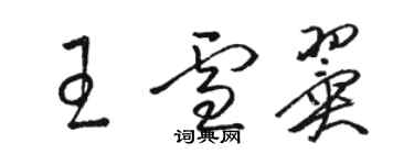 駱恆光王雪翼草書個性簽名怎么寫