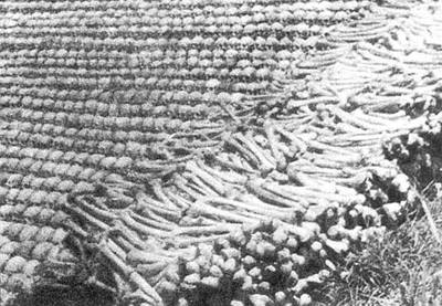 1944年8月8日日軍攻陷衡陽，在衡陽燒殺淫掠_歷史上的今天