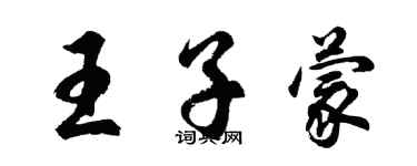 胡問遂王子蒙行書個性簽名怎么寫