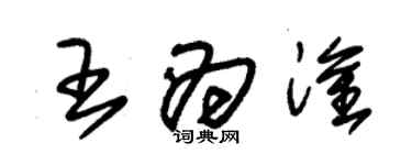 朱錫榮王為淦草書個性簽名怎么寫