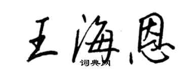 王正良王海恩行書個性簽名怎么寫