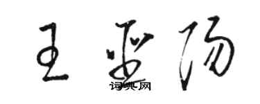 駱恆光王聖陽草書個性簽名怎么寫