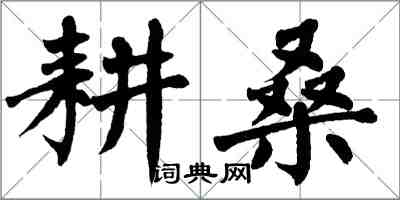 翁闓運耕桑楷書怎么寫