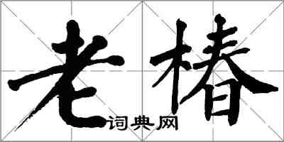 翁闓運老椿楷書怎么寫