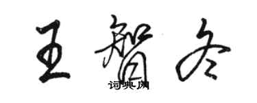 駱恆光王智冬行書個性簽名怎么寫