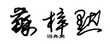 朱錫榮蘇梓默草書個性簽名怎么寫