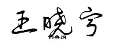 曾慶福王曉寧草書個性簽名怎么寫