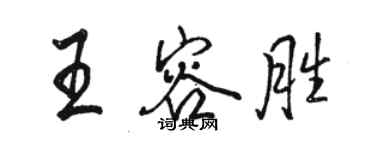 駱恆光王容勝行書個性簽名怎么寫