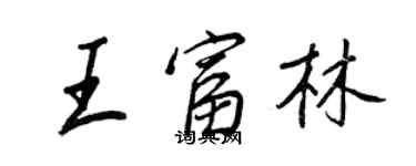 王正良王富林行書個性簽名怎么寫