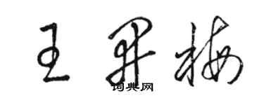 駱恆光王開梅草書個性簽名怎么寫