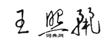 駱恆光王照麗草書個性簽名怎么寫