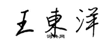 王正良王東洋行書個性簽名怎么寫