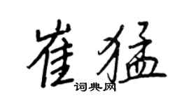 王正良崔猛行書個性簽名怎么寫