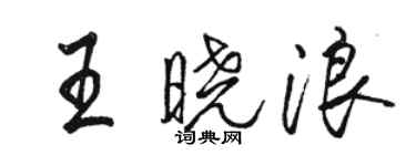 駱恆光王曉浪行書個性簽名怎么寫