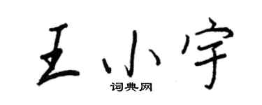 王正良王小宇行書個性簽名怎么寫