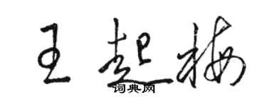 駱恆光王起梅草書個性簽名怎么寫