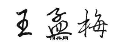 駱恆光王孟梅行書個性簽名怎么寫