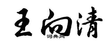 胡問遂王向清行書個性簽名怎么寫