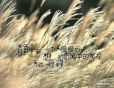 感悟生活的短語_生活感悟說說短語