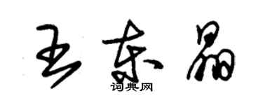 朱錫榮王東晶草書個性簽名怎么寫