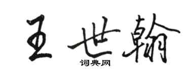 駱恆光王世翰行書個性簽名怎么寫
