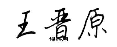 王正良王晉原行書個性簽名怎么寫