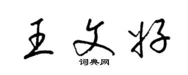 梁錦英王文好草書個性簽名怎么寫