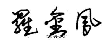 朱錫榮羅金鳳草書個性簽名怎么寫