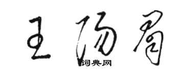 駱恆光王陽眉草書個性簽名怎么寫