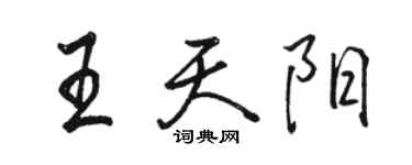 駱恆光王天陽行書個性簽名怎么寫