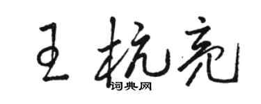 駱恆光王杭亮草書個性簽名怎么寫