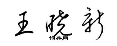 梁錦英王曉新草書個性簽名怎么寫